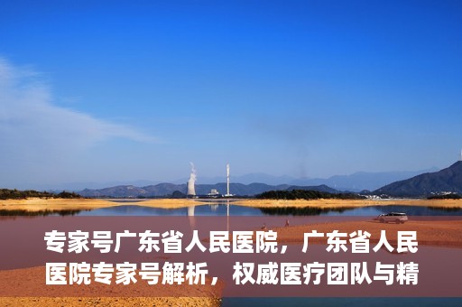 专家号广东省人民医院，广东省人民医院专家号解析，权威医疗团队与精准诊疗服务