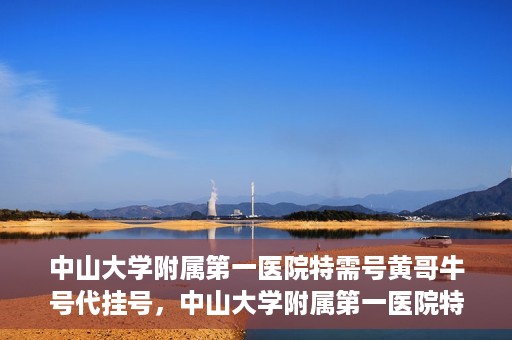 中山大学附属第一医院特需号黄哥牛号代挂号，中山大学附属第一医院特需号专家黄哥牛号预约挂号攻略