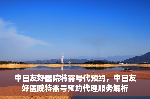 中日友好医院特需号代预约，中日友好医院特需号预约代理服务解析