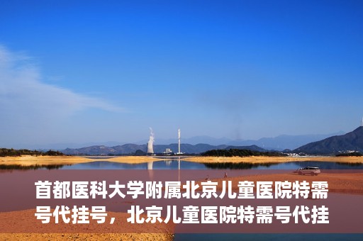 首都医科大学附属北京儿童医院特需号代挂号，北京儿童医院特需号代挂号服务详解