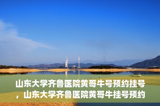 山东大学齐鲁医院黄哥牛号预约挂号，山东大学齐鲁医院黄哥牛挂号预约攻略