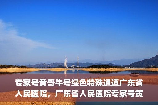 专家号黄哥牛号绿色特殊通道广东省人民医院，广东省人民医院专家号黄哥牛号开启绿色特殊通道，助力健康广东建设。