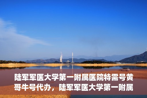 陆军军医大学第一附属医院特需号黄哥牛号代办，陆军军医大学第一附属医院特需号代办专家解析黄哥牛号服务体验