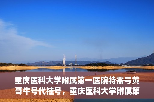 重庆医科大学附属第一医院特需号黄哥牛号代挂号，重庆医科大学附属第一医院特需号黄哥牛号代挂号服务解析