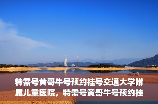 特需号黄哥牛号预约挂号交通大学附属儿童医院，特需号黄哥牛号预约挂号攻略，交通大学附属儿童医院就医指南