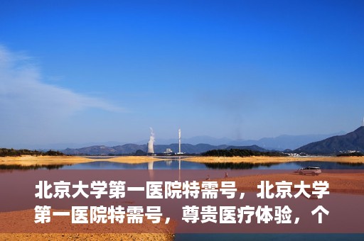 北京大学第一医院特需号，北京大学第一医院特需号，尊贵医疗体验，个性化健康守护