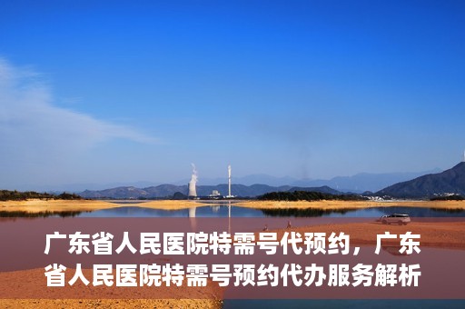 广东省人民医院特需号代预约，广东省人民医院特需号预约代办服务解析