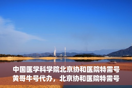 中国医学科学院北京协和医院特需号黄哥牛号代办，北京协和医院特需号黄哥牛号代办服务解析