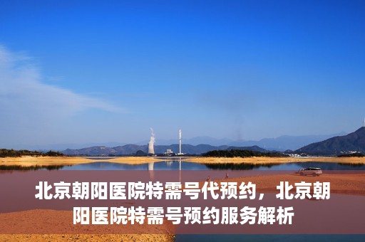 北京朝阳医院特需号代预约，北京朝阳医院特需号预约服务解析