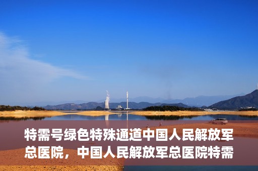 特需号绿色特殊通道中国人民解放军总医院，中国人民解放军总医院特需号绿色特殊通道，健康守护的新路径