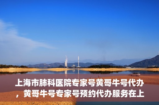 上海市肺科医院专家号黄哥牛号代办，黄哥牛号专家号预约代办服务在上海市肺科医院揭秘