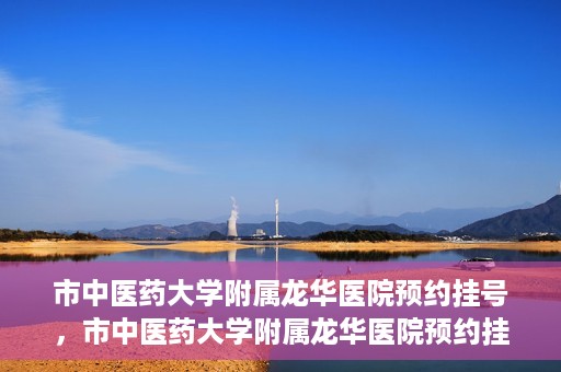 市中医药大学附属龙华医院预约挂号，市中医药大学附属龙华医院预约挂号攻略，一站式解决您的挂号难题