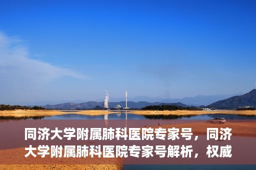 同济大学附属肺科医院专家号，同济大学附属肺科医院专家号解析，权威医疗团队的专业解读与诊疗服务