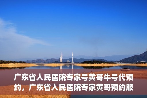 广东省人民医院专家号黄哥牛号代预约，广东省人民医院专家黄哥预约服务解析