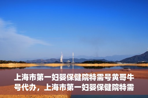 上海市第一妇婴保健院特需号黄哥牛号代办，上海市第一妇婴保健院特需号专家黄哥牛号预约代办服务解析