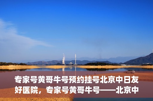 专家号黄哥牛号预约挂号北京中日友好医院，专家号黄哥牛号——北京中日友好医院预约挂号攻略