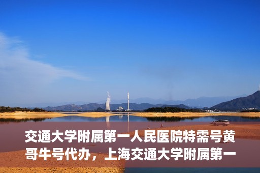 交通大学附属第一人民医院特需号黄哥牛号代办，上海交通大学附属第一人民医院特需号代办服务解析，黄哥牛号代办揭秘