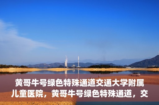黄哥牛号绿色特殊通道交通大学附属儿童医院，黄哥牛号绿色特殊通道，交通大学附属儿童医院的探索与实践