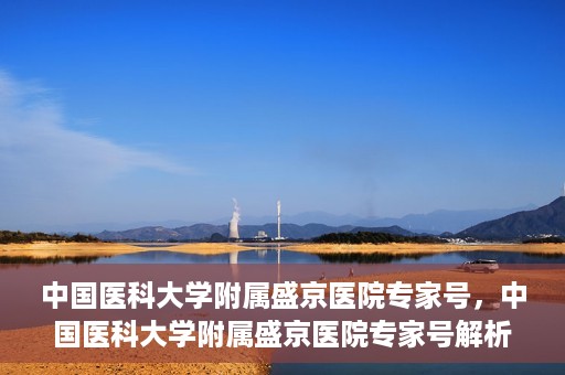 中国医科大学附属盛京医院专家号，中国医科大学附属盛京医院专家号解析，权威医疗团队与精准诊疗服务