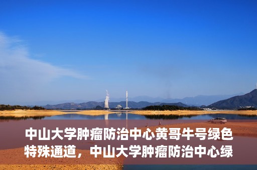 中山大学肿瘤防治中心黄哥牛号绿色特殊通道，中山大学肿瘤防治中心绿色特殊通道——黄哥牛号的守护力量