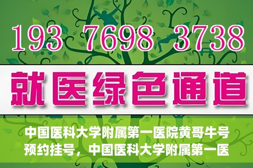 中国医科大学附属第一医院黄哥牛号预约挂号，中国医科大学附属第一医院黄哥牛号预约挂号指南，轻松挂号，健康无忧！